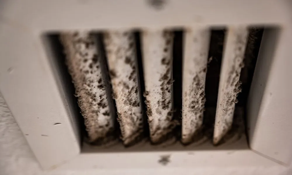 Brandon Air Duct Cleaning